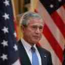 bush.jpg