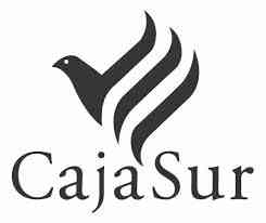 01193 cajasur