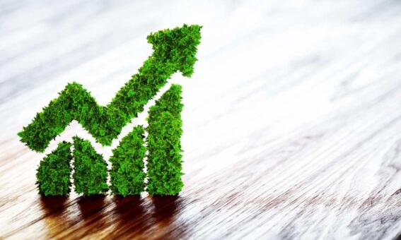 Home Elementor 1 La sostenibilidad impulsa el crecimiento de marcas espanolas