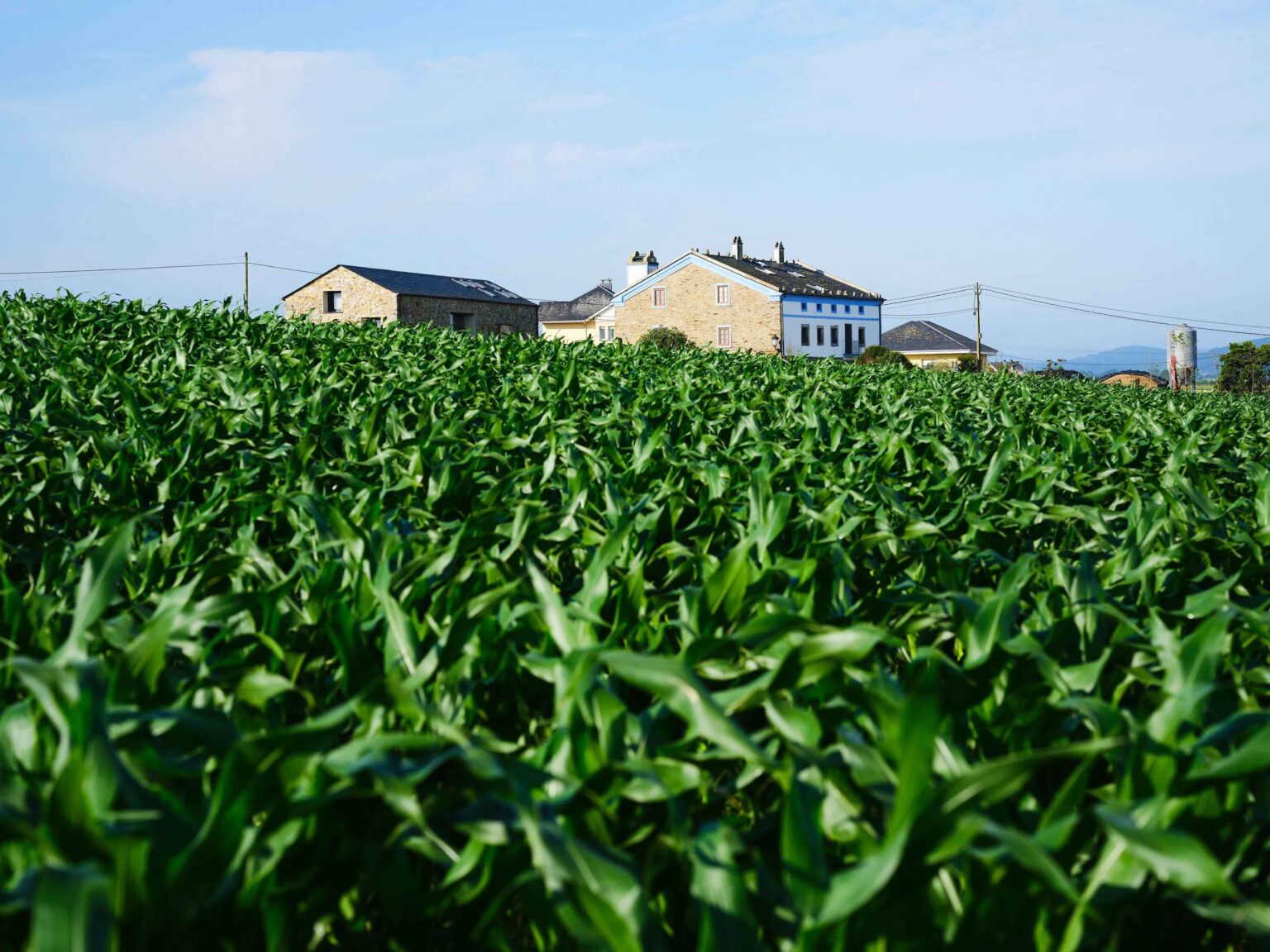 El Fondo de la Comunidad de Airbnb dona más de 2 millones de dólares a 28 organizaciones sin ánimo de lucro en Europa